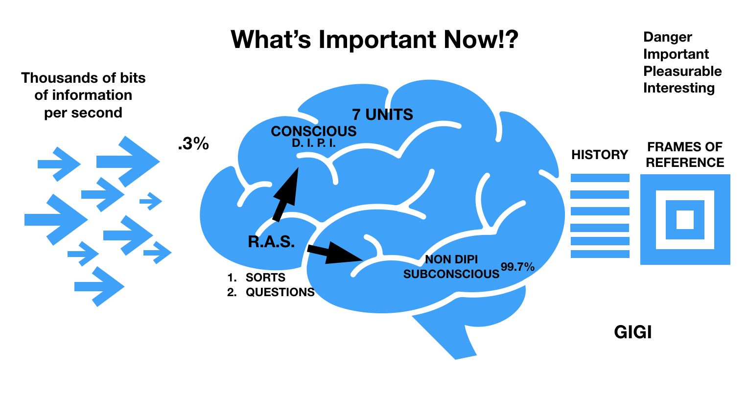 DIPI Brain Training