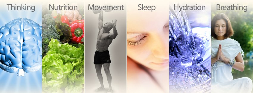 principles of health principles of health